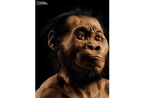 Homo Naledi Une Nouvelle Espèce Humaine Découverte Une Découverte