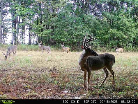 Mississippi Hunting Land for Sale, Hunting Land for Sale in Mississippi