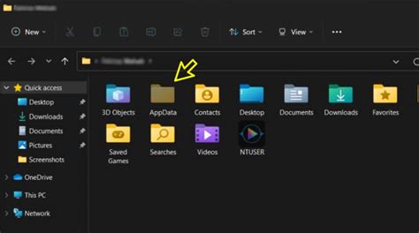 Cómo Acceder a la Carpeta AppData en Windows 11 Fácilmente Editar