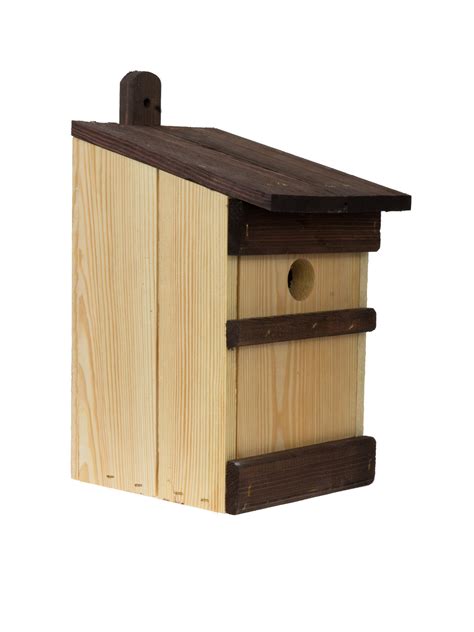 How To Choose Right Birdhouse To Attract Nesting Birds