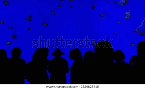 Silhouette Crowd People Stock Photo 2324828915 | Shutterstock