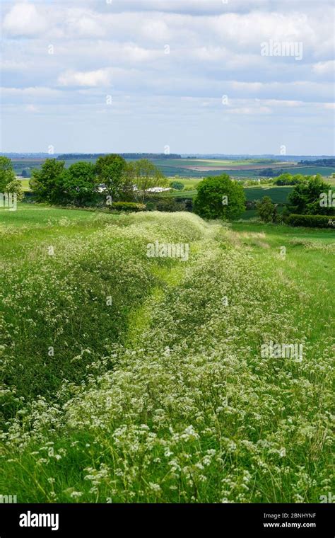 The Landscape Near Wallington Herts Stock Photo Alamy