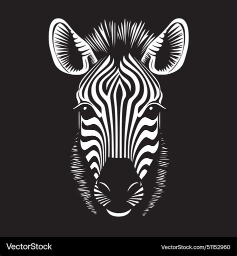 Zebra Baby Black And White Isolated Icon Vector Image