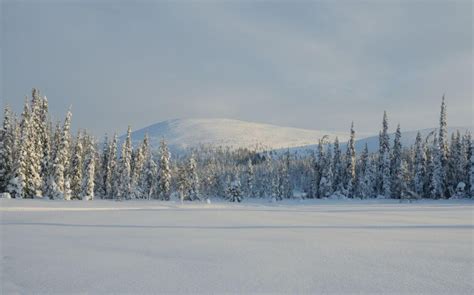 Kittila Airport to Akaslompolo | Private Car, Bus, Taxi