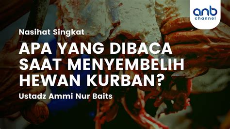 Apa Yang Dibaca Saat Menyembelih Hewan Kurban Ustadz Ammi Nur Baits