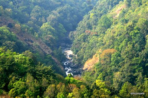 Silent Valley Movement