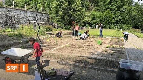 Urban Gardening auf dem Grab Frisches Gemüse direkt vom Friedhof