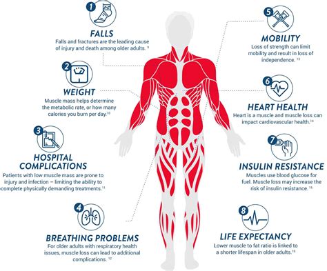 Ensure ® Gold How Muscle Loss Can Impact Your Health