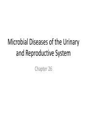 Chapter 26 Microbial Diseases Of The Urinary And Reproductive Systems