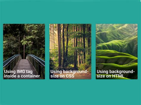 Cards With Background Image Css — Codepel