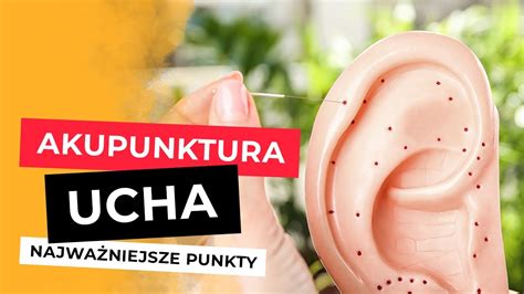 Najważniejsze Punkty Na Uchu Akupunktura Ucha Refleksologia Ucha