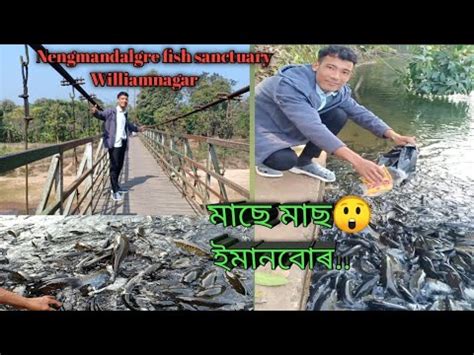 Nengmandalgre Fish Sanctuary Williamnagar East Garo Hill S