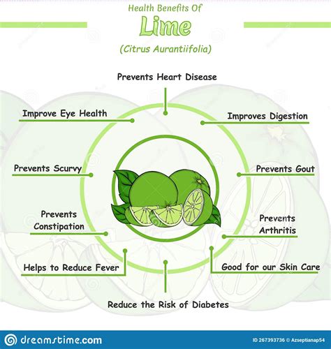 Health benefits of a lime stock vector. Illustration of passionfruit ...