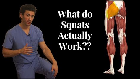 Squat Muscles