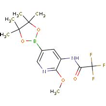 现货供应ChemShuttle2 2 2 trifluoro N 2 methoxy 5 4 4 5 5 tetramethyl