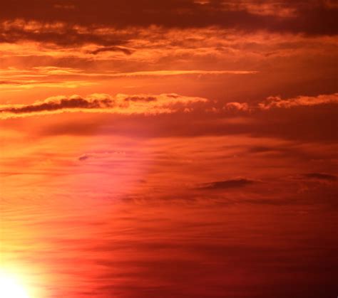bright orange sunset sky  stock photo public domain pictures