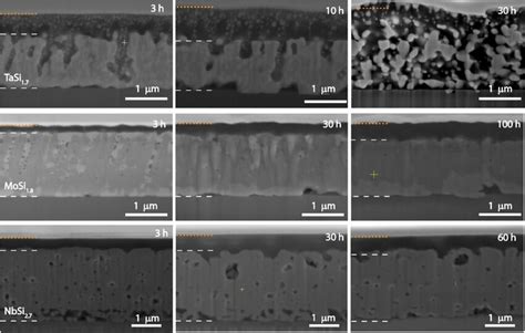 Fib Prepared Cross Section Images Of A Tasi B Mosi And C