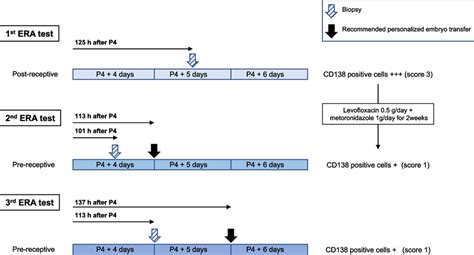 Scheme Of The Timing Of Endometrial Sampling And The Recommended Window