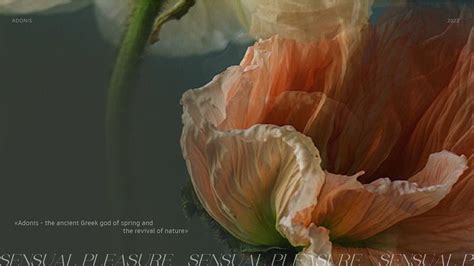 ADONIS [flower boutique] on Behance