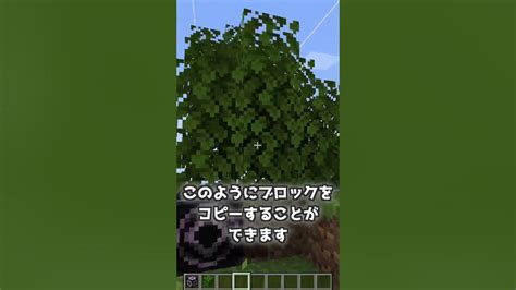 【マイクラ】コマンドでしか出せないアイテム5選 マイクラ マイクラコマンド Minecraft コマンド コマンド紹介 Youtube