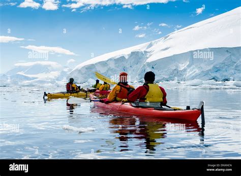 Antarctica Neko Harbour Antarctica Kayakers Cruise Through The