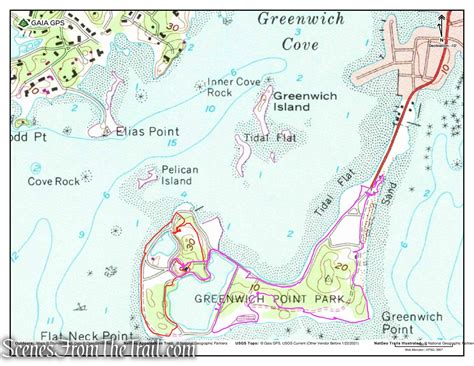 Rangers show what Greenwich Point Park means for local wildlife 37