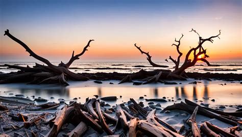 Jekyll Island-Home To The Remarkable Driftwood Beach