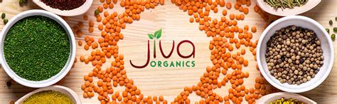 Amazon Jiva Organics Organic Mustard Oil 1 Liter Bottle 33 8