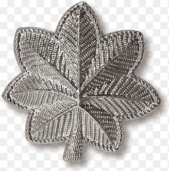 Army Lieutenant Colonel Insignia