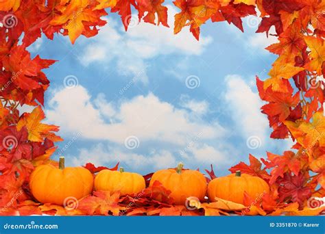 Autumn Harvest Border Stock Photo Image Of Leaves November 3351870