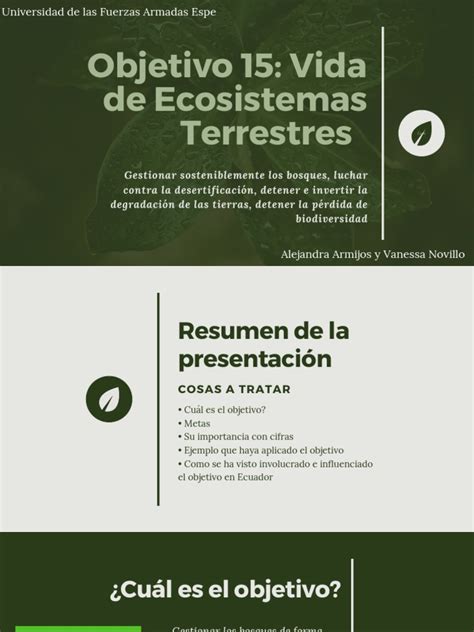 Objetivo 15 Vida De Ecosistemas Terrestres Pdf Deforestación Los Bosques