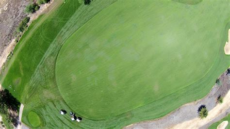 Bermuda Grass Infestation Darker Geen Shades In A Seashore Paspalum Fairway A Photo On