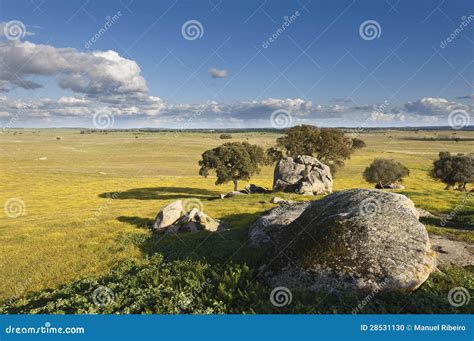 Alentejo landscape stock photo. Image of alentejo, grass - 28531130