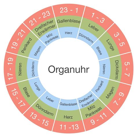 Es Gibt Zeiten In Denen Organe Ihre Eigentliche Aufgaben Erledigen Zu