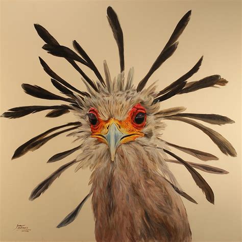 Secretary Bird Painting By Jim Grady Pixels