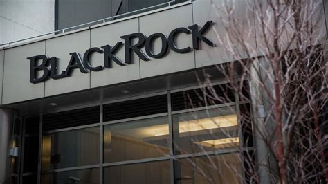 BlackRock sees risks for U.S. stocks in the second half from virus and ...