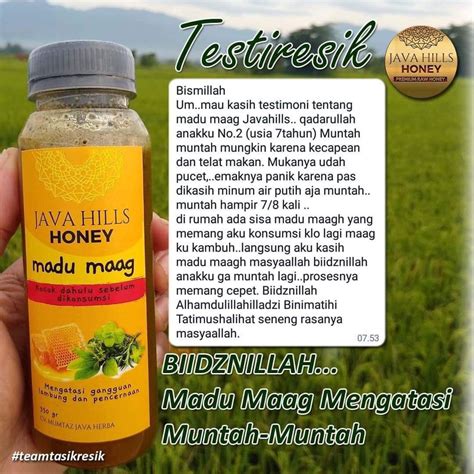 Jual MADU MAAG HERBAL MURNI ASLI MADU MAAGH LAMBUNG PREMIUM JAVA HILLS