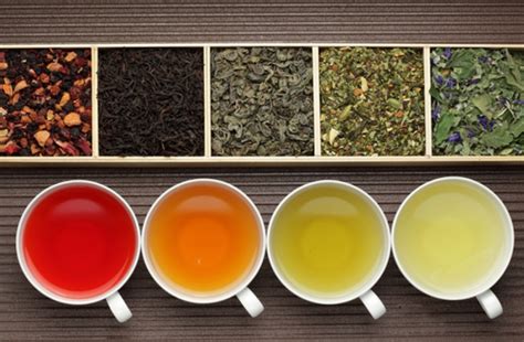 Red Tea Vs Green Tea Vs Black Tea At Patrick Rahn Blog