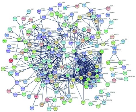 The Protein Protein Interaction Ppi Analysis Of Degs Based On The