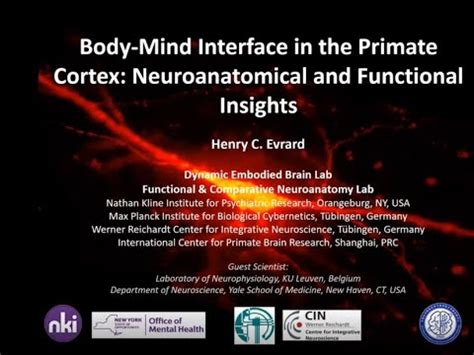 Henry C EVRARD Body Mind Interface In The Primate Cortex