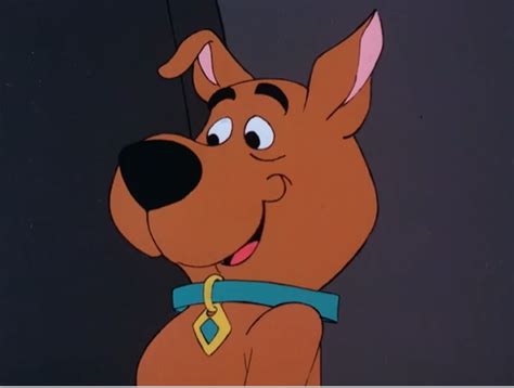 Scrappy Doo Scoobypedia Fandom