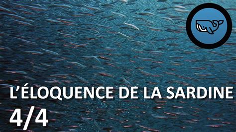 S E L Loquence De La Sardine Les Migrations Des Poissons