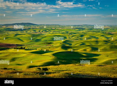 Farm Fields From Steptoe Butte In The Palouse Region Of Eastern Stock