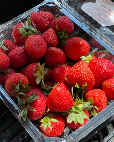 mia fryer | 🍓🦶🏼 | Instagram