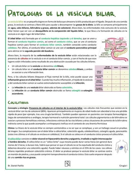 Patologias De La Vesicula Biliar Daniel Patino Daniel Pati O Udocz