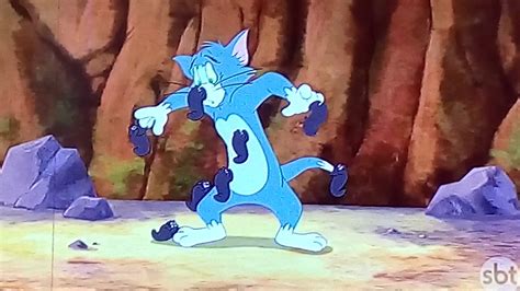 As Aventuras De Tom E Jerry Bom Dia E Compania Quinta 19 04 2018 No SBT