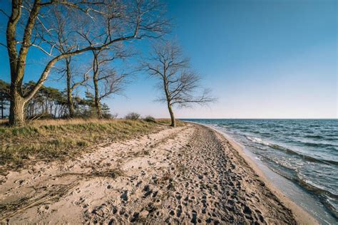 Bild Nr 2891 Palmer Ort Strand Rügenfotos de