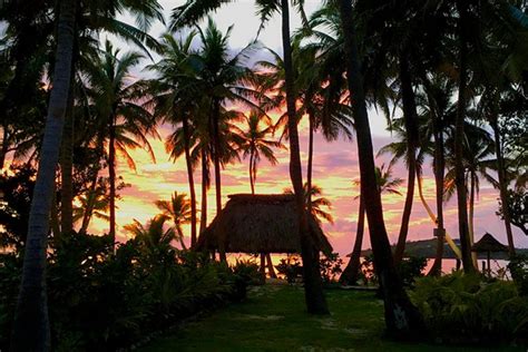 Gallery : Coconut Beach Fiji