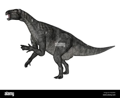 Iguanodon Dinosaur Rearing Up White Background Stock Photo Alamy