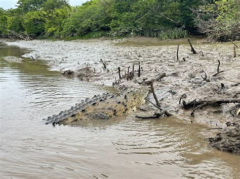 Palo Verde National park boat tour – GET WET PURA VIDA!